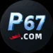 P67 Game