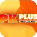 PK PLUS Game